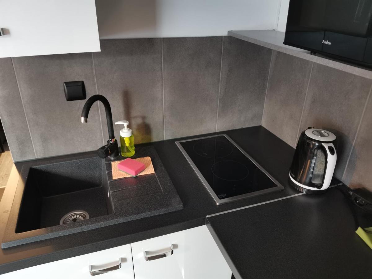 Apartamenty Jaskinia Solna Ruda Slaska Exteriör bild